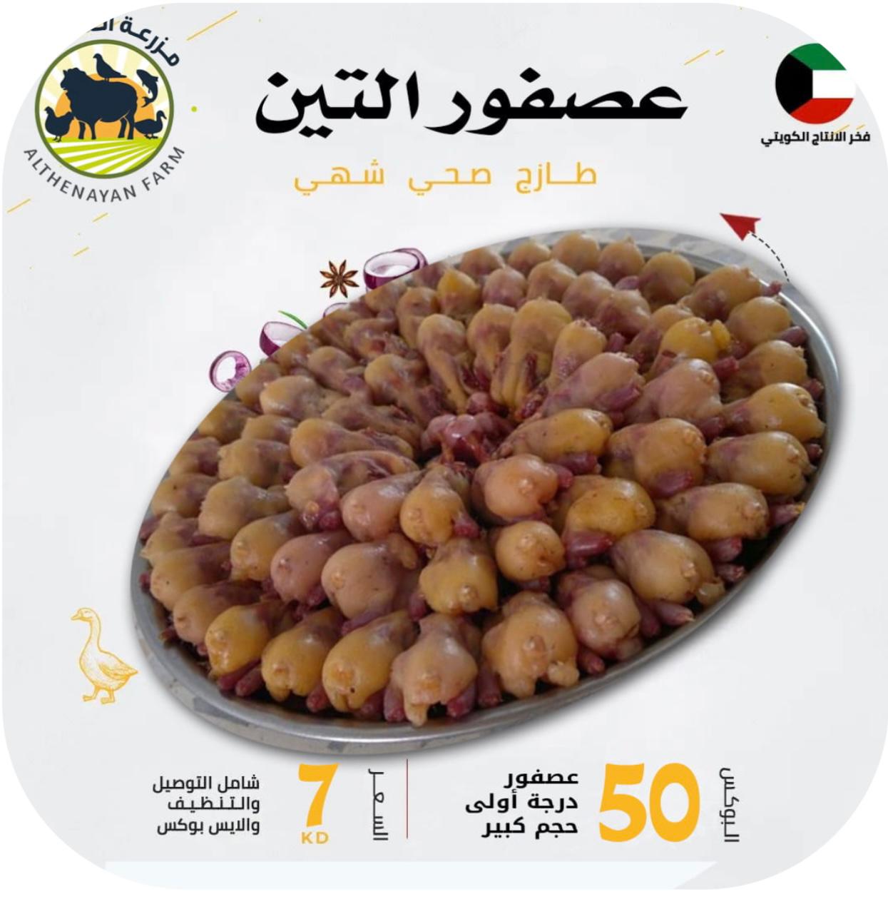 عصافير التين الفاخرة - 50 عصفور
